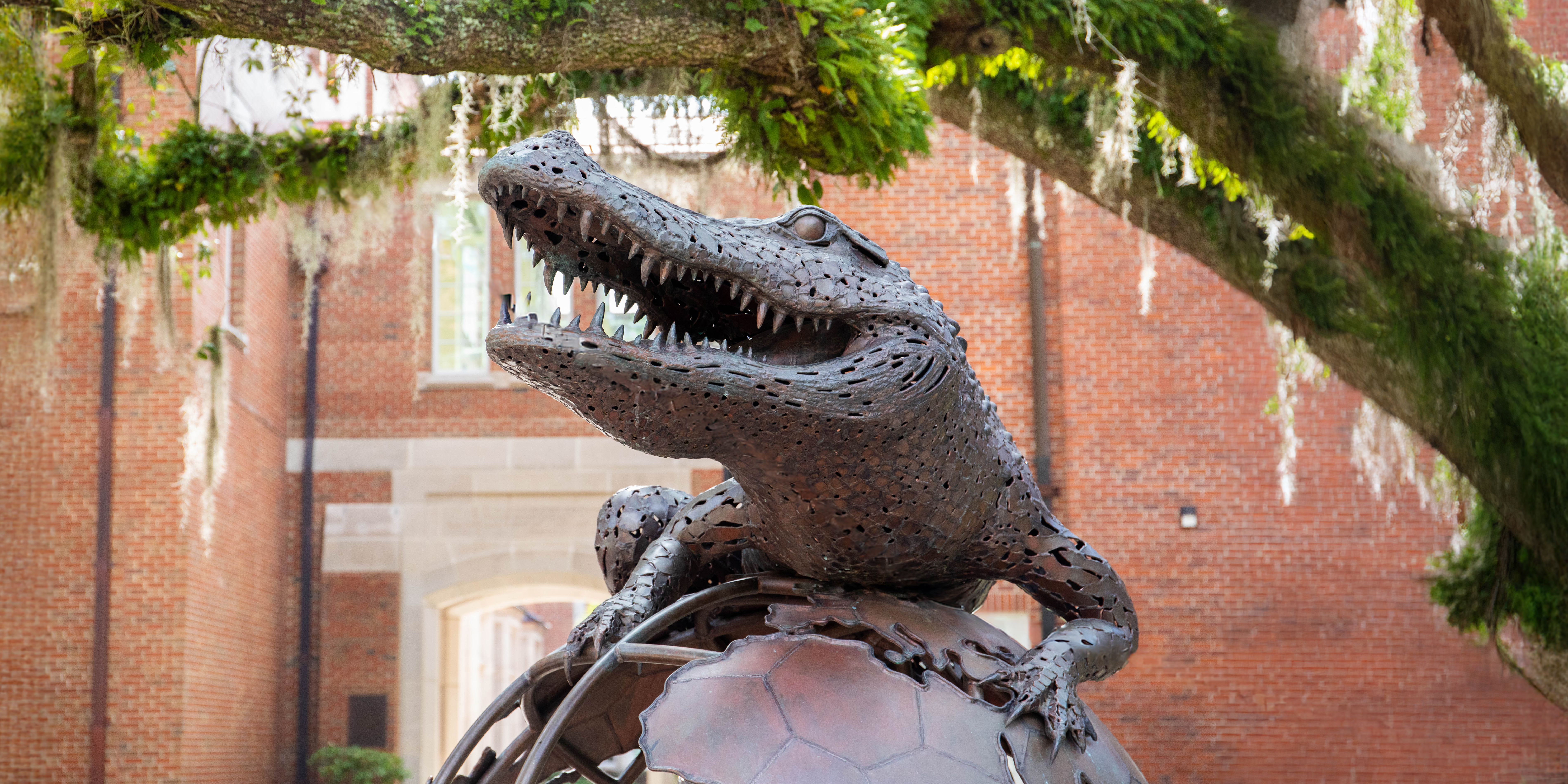 Getting Into Alignment